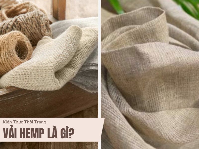 Váº£i Hemp: Khám Phá Từng Chi Tiết Về Loại Vải Thời Trang Cao Cấp